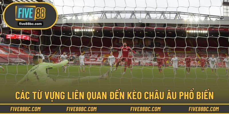 Các từ vựng liên quan đến kèo châu âu phổ biến