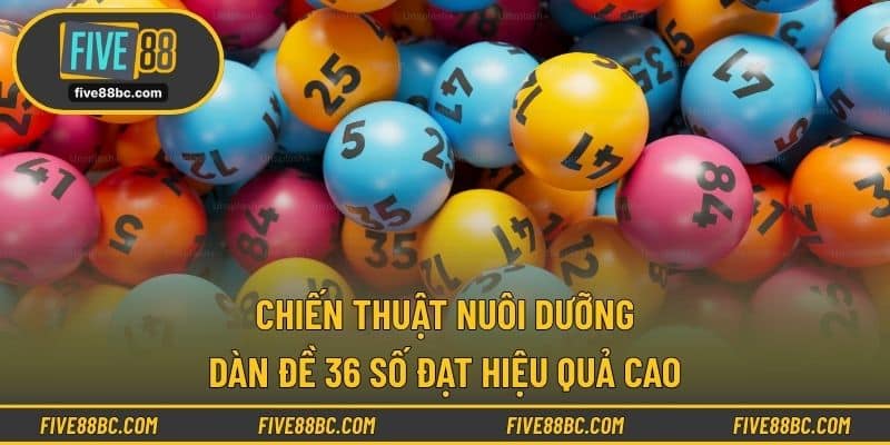 Chiến thuật nuôi dưỡng dàn đề 36 số đạt hiệu quả cao