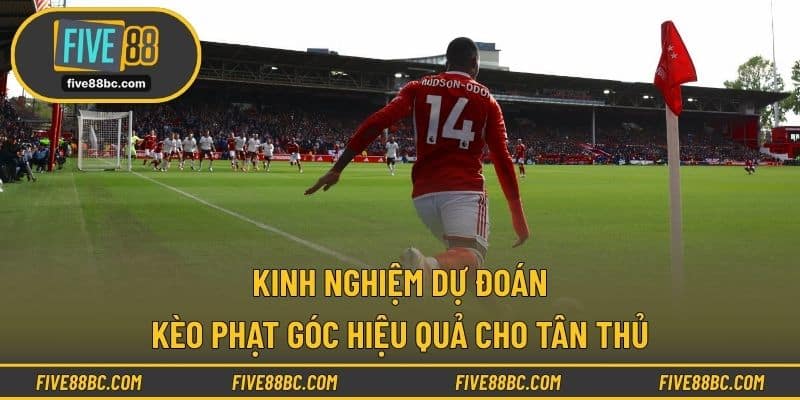 Kinh nghiệm dự đoán kèo phạt góc hiệu quả cho tân thủ