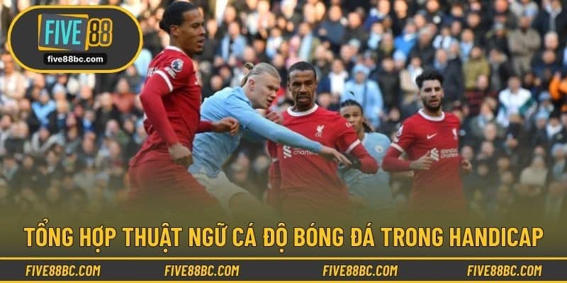 Tổng hợp thuật ngữ cá độ bóng đá trong Handicap